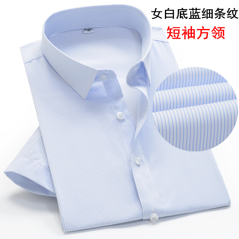 Summer Women's White Base Blue Striped Short-Sleeve Shirt Square Collar Mobile Banking Hotel Formal Workwear Plus Size