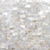 SPOT Special Propect Kannaza Shell Mosaic натуральный цвет Twoin TV Фоновая настенная мозаичная плитка крыльца