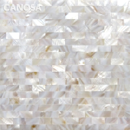 SPOT Special Propect Kannaza Shell Mosaic натуральный цвет Twoin TV Фоновая настенная мозаичная плитка крыльца