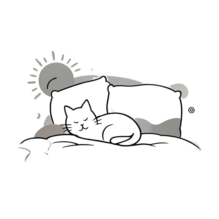 猫和好天气