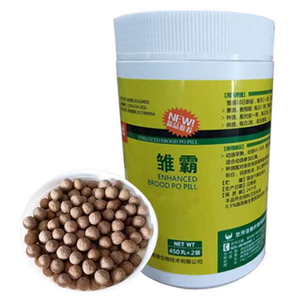 Bầy chim ưng Tây An Na Naide 900 viên nang chim bồ câu chim bồ câu chim bồ câu chim bồ câu nhỏ ấp trứng ấp trứng gà con 1 - Chim & Chăm sóc chim Supplies thức ăn cho bồ câu