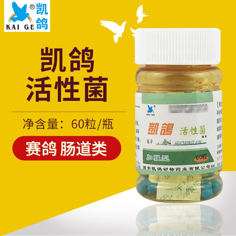 Kepigeon Dove Drug Kydove Active Bacteria Capsule 60 Grain Systine Drug Parrot Birds Anorexia to Milk Water Poo probiotics