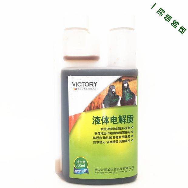 Chim bồ câu y học chất lỏng điện giải 500 ml nuôi chim bồ câu gan vi khuẩn sống cạnh tranh sản phẩm chim bồ câu chim bồ câu y học phổ biến - Chim & Chăm sóc chim Supplies cám cho chim sáo ăn	