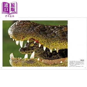 绝世瞬间 国家地理罕见奇观摄影精选 港台原版 Susan Tyler Hitchcock 大石国际文化 精装【中商原版】