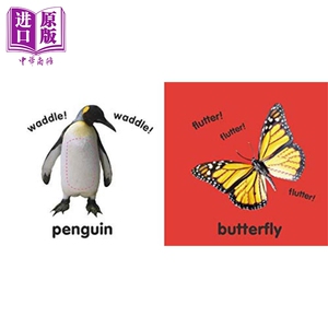 DK触摸启蒙动物 Baby Touch And Feel:Animals 0-3岁触摸书【中商原版】