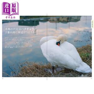 动物睡觉图鉴 日文原版 眠れる美しい生き物【中商原版】