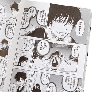 结界师 完全版 17 日文原版 結界師 完全版 17【中商原版】