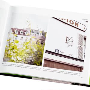 【中商原版】城市摄影：巴黎 英文原版 PhotoCity Paris
