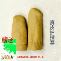 Giving the Plant Knocks Dyeing Really Simple study information Knocks on the rubbing and anti-pounding fingertips Grass Wood Dyeing and Dyeing Wood
