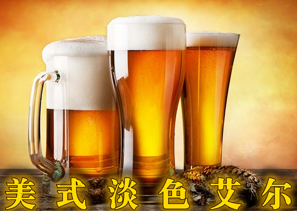 PF103 (American Pale Ales package) (New Chinese New Year Special Price Promotion) Pale Wheat Self-Brewed-Taobao