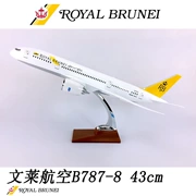 Mô hình máy bay nhựa 43cm Brunei Airlines B787-8 Brunei Airlines mô phỏng mô hình bay tĩnh động cơ rỗng