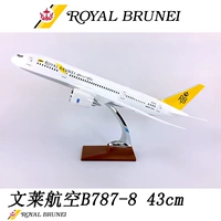 Mô hình máy bay nhựa 43cm Brunei Airlines B787-8 Brunei Airlines mô phỏng mô hình bay tĩnh động cơ rỗng đồ chơi thông minh cho bé