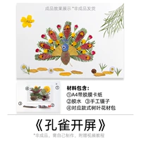 Павлин вступительный экран