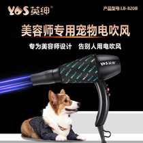 Professional pet hair dryer that can be used to blow-dry and groom golden retrievers. Negative ion hair dryer for pet shops.