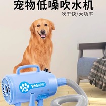 Pet beauty shop water blower noise reduction dog and cat automatic hair dryer hair blowing bath beauty tool