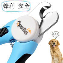 Pet Fingernail Cut Dog Nail Clippers Cat Nail Clippers Exclusive Kitty Cut Nail deity Divine Instrumental Distribution Filing Knife Sharpened Safety