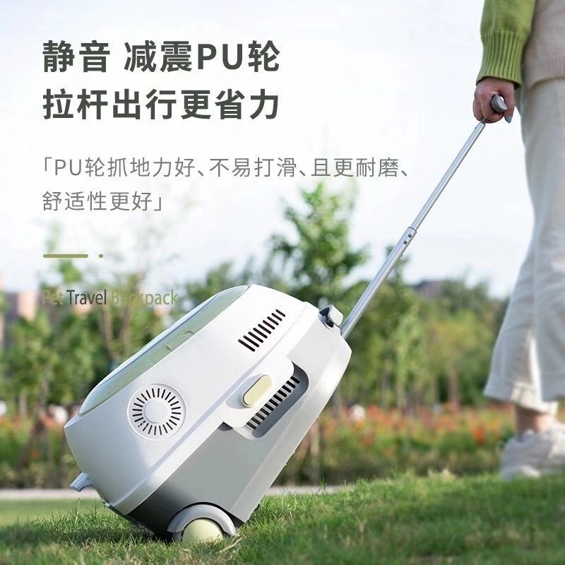 Pet Cat Pack With Fan Out of Portable Large Capacity Lalever Box Kitty double shoulder bag Pull Back Cat Nest Breathable