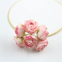 Розовый чемпион