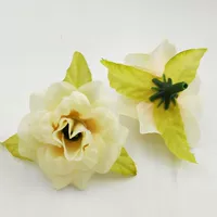 Цвета шампанского