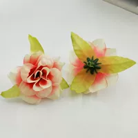 Белый/арбуз красный