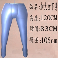 Увеличьте женское нижнее тело