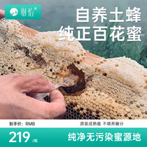 Xie Yi Farm honey is natural natural nectar of homemade soil honey deep mountain wild honey to drink canned