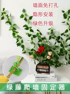 Golden Ge climbing wall fixed artifact green planting climbing wall double-sided sticker household buckle clip Vine Holder