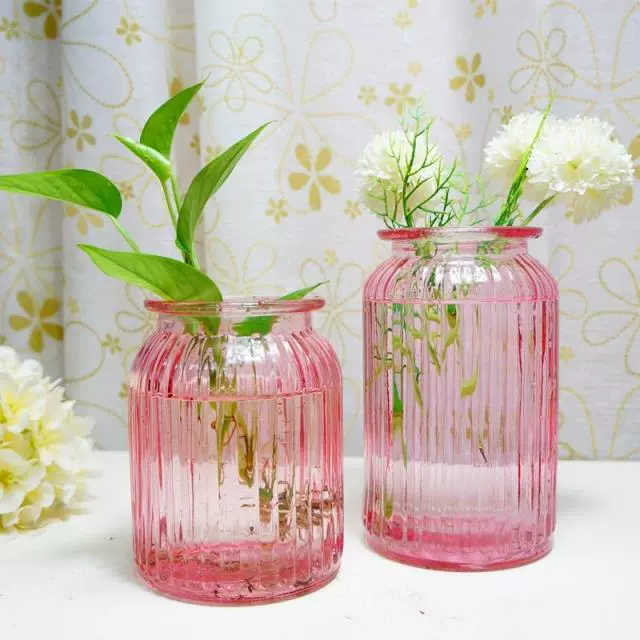 Bình thủy tinh đựng dụng cụ thủy tinh kiểu IKEA * bình hình chữ nhật song song * bình thủy canh - Vase / Bồn hoa & Kệ