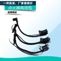 Gasoline engine accessories high-pressure package igniter micro-tiller accessories 152f168f170f188f190f192f