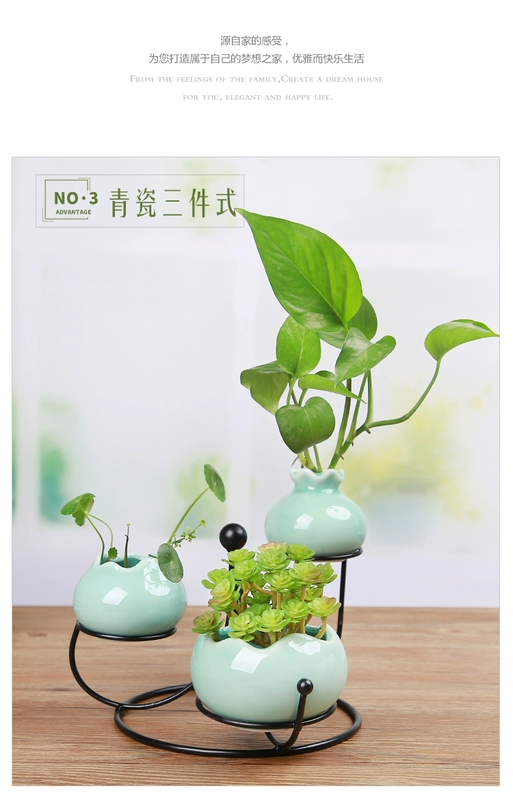 Bắc Âu mới sáng tạo bình gốm đơn giản thủy canh cây xanh củ cải nhỏ tươi phòng khách nhỏ trang trí nhà - Vase / Bồn hoa & Kệ
