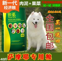 Thức ăn cho chó đặc biệt Samoyed 20kg40 kg thức ăn cho chó trưởng thành thức ăn cho chó thế hệ mới thức ăn kinh tế cho chó hạt cho chó poodle