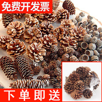 Pine cones ornament ornaments pine tower wild DIY handmade materials Dried flowers creative kindergarten forest dried branches large