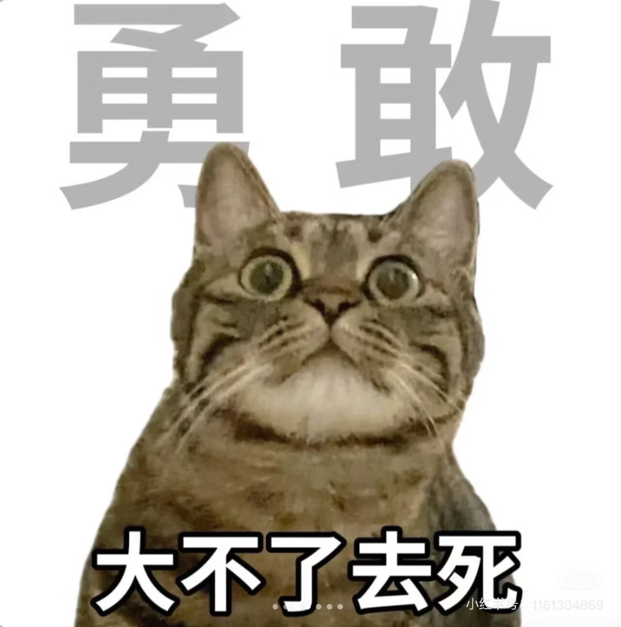 牛马的百货小铺