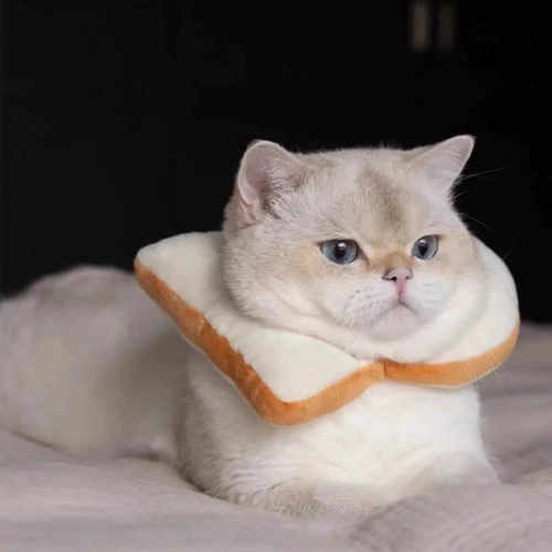 Кошка Элизаба Круг Тост Хлебная Собака набор водонепроницаемой лизать кот сеть