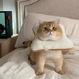 Кошка Элизаба Круг Тост Хлебная Собака набор водонепроницаемой лизать кот сеть