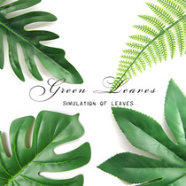 Photo-prop pendulum piece Ornament Emulation Green Planting Turtle Back Leaves Yugali Coconut Tree Leaf Photography Background Assistant Props