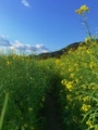 菜果花树有机园艺