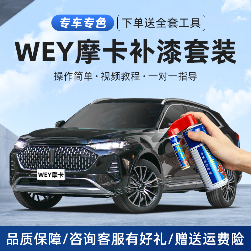 Wey Mocha Touch-Up Paint Pen Caramel Black Ice Silver Vanilla Blue Li River Blue Car Scratch Repair Spray Paint