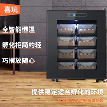 Reptile pet incubator turtle incubator lizard incubator reptile incubator snake hibernation hibernating box incubator cabinet
