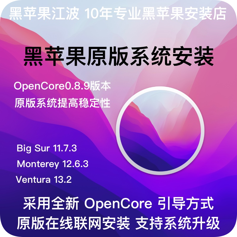 Original Black Apple System Installation Custom EFI Dual System macOS13 Ventura 12 6 Monterey 