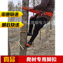 Climbing wooden pole foot buckle climbing tree artifact telecom fried pole foot climbing iron shoe climbing tool thickening foot Hook