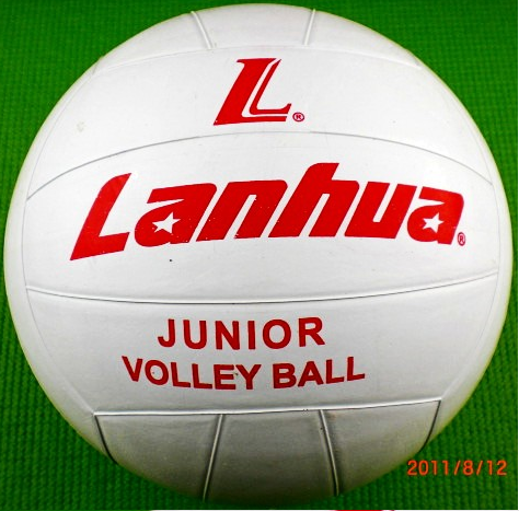 Ballon de volley-ball - Ref 2013337 Image 3