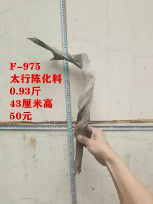 Taihang cliff shape wool material Tuotuo ornaments ancient wood root carving natural fine aged white double color material