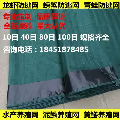 Anti-escape net custom aquaculture box net 10 mesh 40 mesh fish net cloth fishing net piece anti-escape net pull net nylon