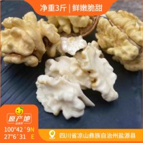 Chenyi Stars Peel Fresh Walnut 3 Jin Pack 100 Fresh Walnut Send Fruit Opener Bag After-sale