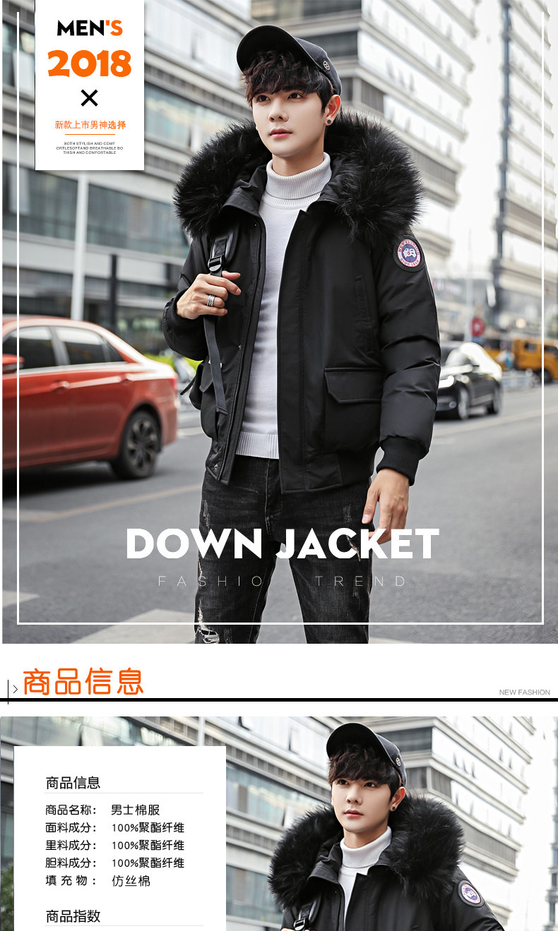 Blouson hiver pour homme   OTHER - Ref 3111923 Image 6