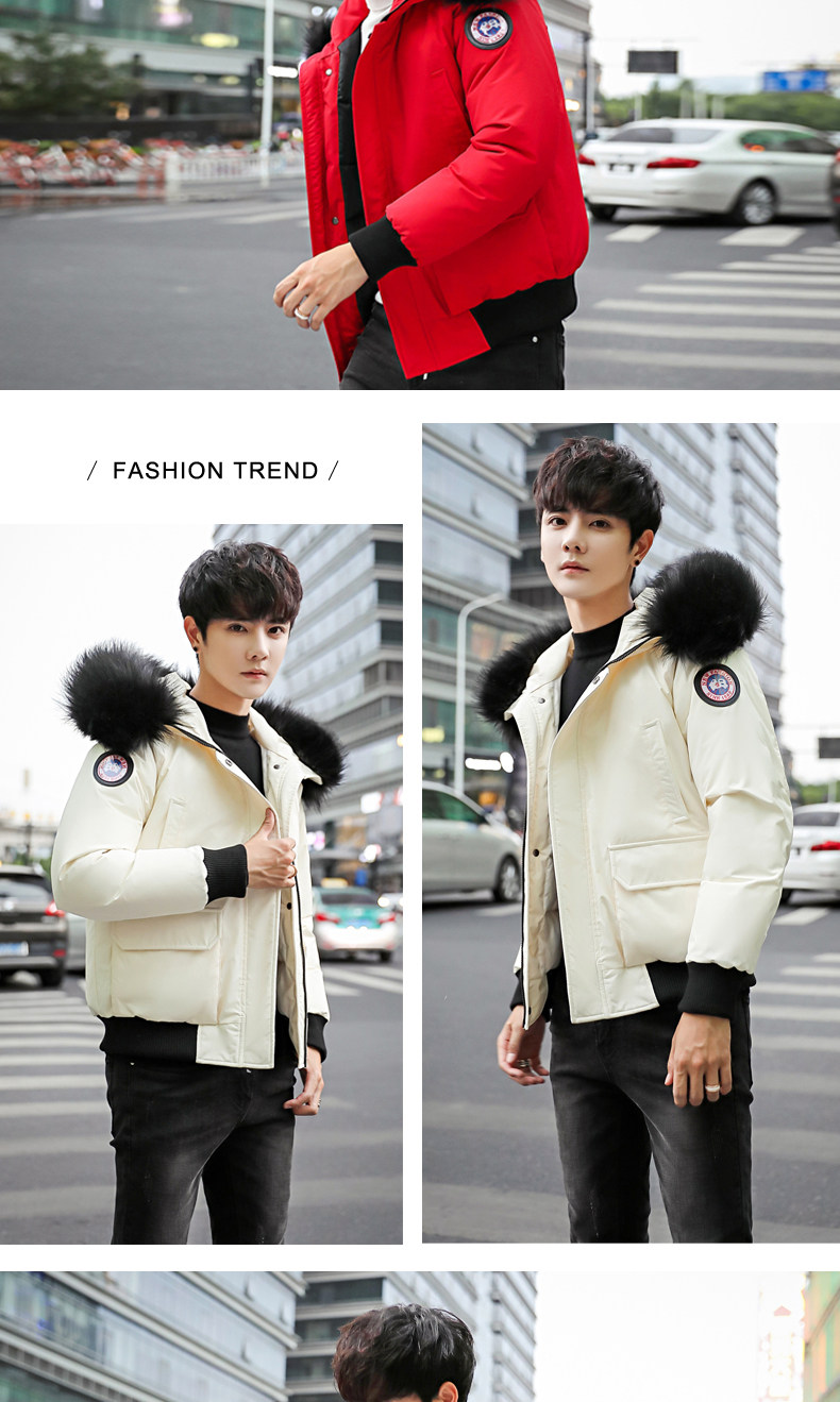 Blouson hiver pour homme   OTHER - Ref 3111923 Image 16