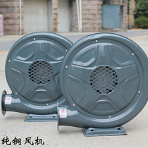 Opening of inflatable arch fan rainbow door air mold blower grabbing machine iron shell blower kitchen pure copper waterproof