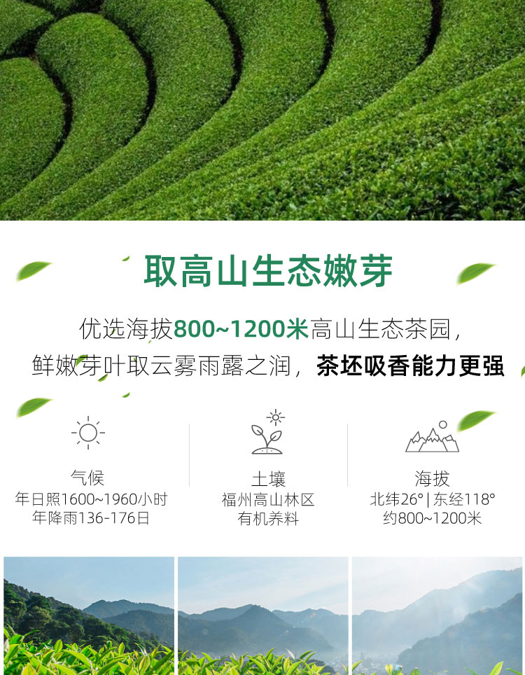 【首单+签到】茉莉花茶正宗大白毫鲜花100g