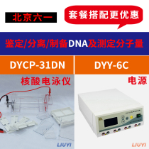 Beijing Liuyi DYCP-31DN agarose level electrophoresis instrument tank DNA nucleic acid electrophoresis tank DYY-6C power supply